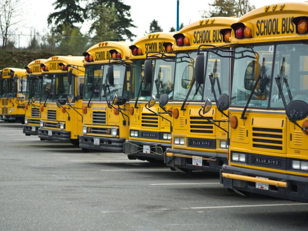 Abbotsford school buses lined up in yard