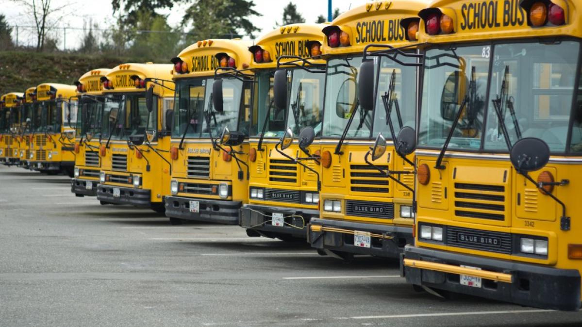 Abbotsford school buses lined up in yard